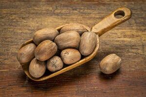 pecan nuts in rustic scoop photo