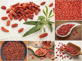 goji berry picture collage photo