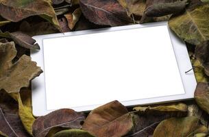 mockup of digital tablet with a blank isolated screen photo