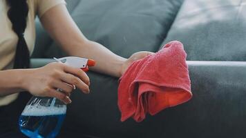 Woman cleaning table using rag and diffuser at home. video