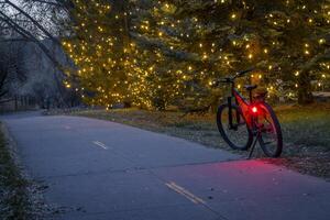mountain bike on a biking trail in Fort Collins, Colorado, at dusk with spruce trees decorated with holiday lights photo