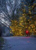 mountain bike on a biking trail in Fort Collins, Colorado, at dusk with spruce trees decorated with holiday lights photo