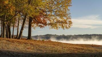 Tennessee River at Colbert Ferry Park, Natchez Trace National Parkway, late November scenery photo