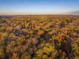 late November sunrise over a forest on a shore of the Tennessee River near Colbert Ferry Park, Natchez Trace Parkway photo