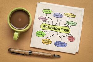 mitochondrial health concept - mind map infographics, sketch on a napkin, healthy lifestyle and aging photo