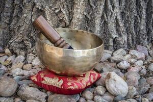 tibetan singing bowl photo