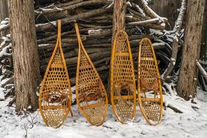 Classic wooden snowshoes, Huron and Bear Paw, against a pile of firewood photo