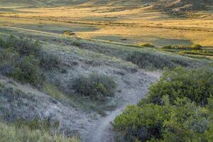 pradera Valle en del Norte Colorado foto