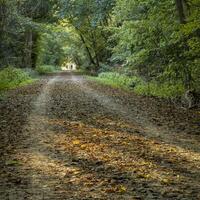Katy Trail near McKittrick, Missouri, in early fall scenery - 237 mile bike trail converted from an old railroad photo