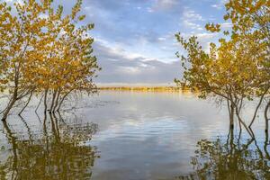 otoño puesta de sol paisaje en niño lago estado parque en tierra de ensueño, Colorado foto