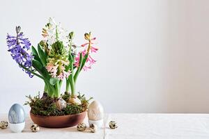 Easter composition from hyacinths flowers and quail eggs on linen tablecloth. Zero Waste Easter photo