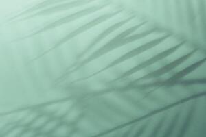 Natural palm leaves shadow on gradient paper background. Abstract blue and mint tropical backdrop. Soft light photo