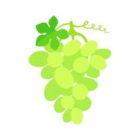 White grape cluster with a leaf. flat illustration isolated on white background. vector