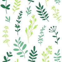 Herbs, twigs and leaves. Floral elements. flat seamless pattern on white background. vector