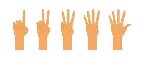 Hands counting from one to five. Counting hands, hand gestures. flat illustration isolated on white background. vector