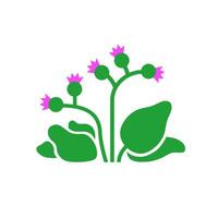 Burdock plant with leaves and flowers. flat illustration isolated on white background. vector