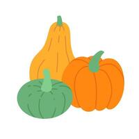 Three pumpkins. Group of different color pumpkins. Flat illustration isolated on white background. vector