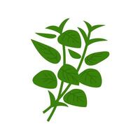 Heap of green basil. illustration isolated on white background. vector
