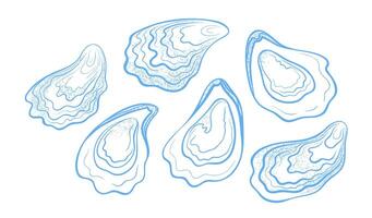 Handdrawn textured oysters set. illustration isolated on a white background. vector