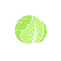 Round fresh green or white cabbage. Flat illustration isolated on white background. vector