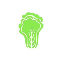 Napa cabbage. Flat illustration isolated on white. vector