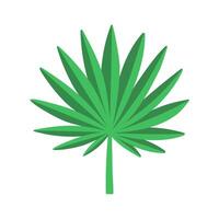 Fan palm leaf. Flat illustration isolated on white background. vector