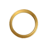 Gold Circle Frame png