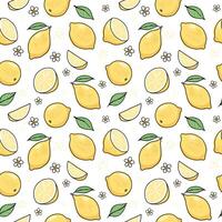 Lemon hand drawn seamless pattern. illustration in doodle style vector