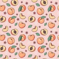 Peach or apricot hand drawn seamless pattern. illustration in doodle style vector