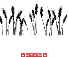 Rural Radiance Stunning Wheat Silhouette Collection vector