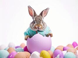 A rabbit wearing a cute shirt emerges from the big egg with beautiful colorful shells on a white background. photo