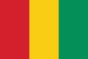 Guinea national flag illustration. Guinea national flag. Waving Guinea flag. vector