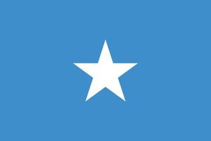 Somalia flag illustration. Somalia national flag. vector