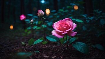 Rosa en el bosque a noche foto