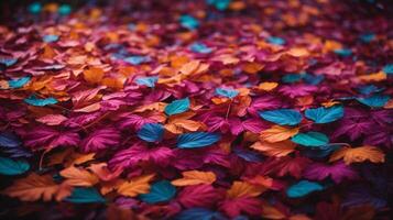 antecedentes con color neón hojas en el suelo foto