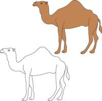 Camel Clipart Set. Cartoon Wild Animals Clipart Set for Lovers of Wildlife vector