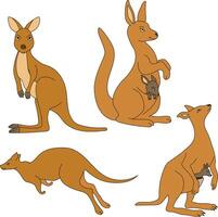 Kangaroo Clipart Set. Cartoon Wild Animals Clipart Set for Lovers of Wildlife vector