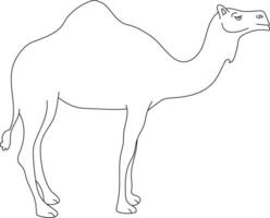 Outline Camel Clipart. Doodle Animals Clipart. Cartoon Wild Animals Clipart for Lovers of Wildlife vector