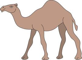 vistoso camello clipart. garabatear animales clipart. dibujos animados salvaje animales clipart para amantes de fauna silvestre vector