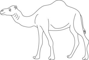 Outline Camel Clipart. Doodle Animals Clipart. Cartoon Wild Animals Clipart for Lovers of Wildlife vector