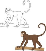 Monkey Clipart Set. Cartoon Wild Animals Clipart Set for Lovers of Wildlife vector