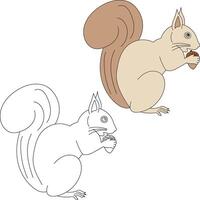 Squirrel Clipart Set. Cartoon Wild Animals Clipart Set for Lovers of Wildlife vector