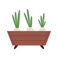 Onions in a wooden box vector