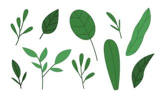 Green leaves and branches set vector