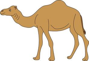 Colorful Camel Clipart. Doodle Animals Clipart. Cartoon Wild Animals Clipart for Lovers of Wildlife vector