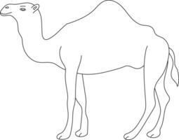 contorno camello clipart. garabatear animales clipart. dibujos animados salvaje animales clipart para amantes de fauna silvestre vector