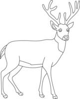 Outline Deer Clipart. Doodle Animals Clipart. Cartoon Wild Animals Clipart for Lovers of Wildlife vector