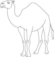 Outline Camel Clipart. Doodle Animals Clipart. Cartoon Wild Animals Clipart for Lovers of Wildlife vector