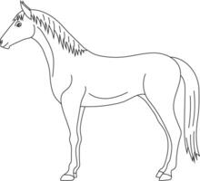 Outline Horse Clipart. Doodle Animals Clipart. Cartoon Wild Animals Clipart for Lovers of Wildlife vector