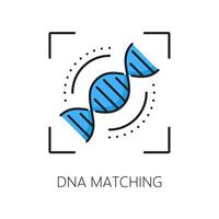 adn pareo biométrico identificación, reconocimiento vector